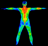 thermo-body_38